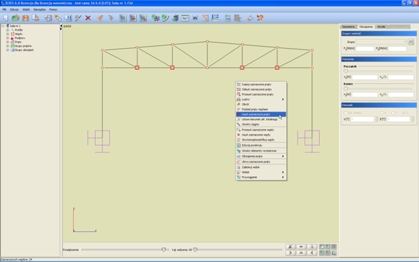 Konstrukcje stalowe: projekt hali w programie Rama 3D