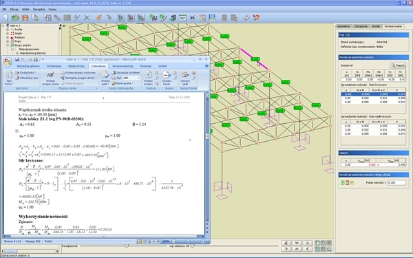 Konstrukcje stalowe: projekt hali w programie Rama 3D